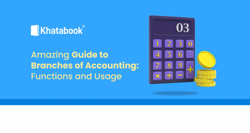 Amazing Guide to Branches of Accounting: Functions and Usage